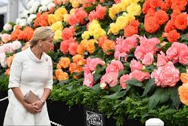 RHS Hampton Court Flower Show